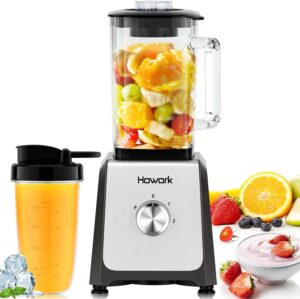 Our Smoothie Test: HOWORK 750W Blender Verdict