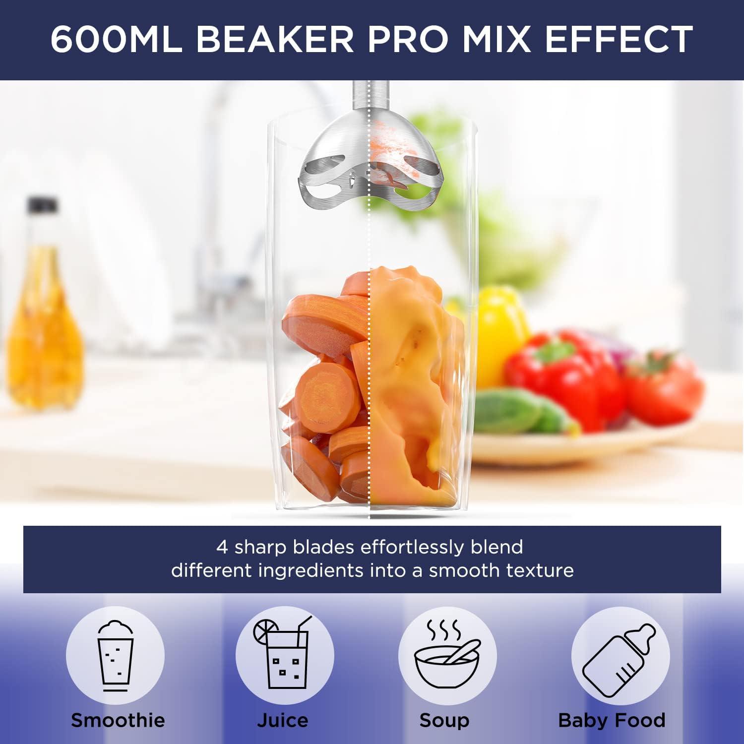 Our Kitchen's Pick: Howork 450W 4-in-1 Blender