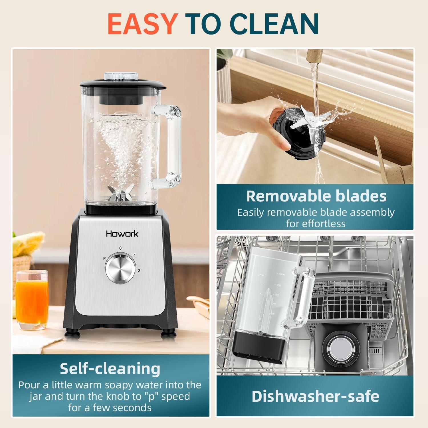 Our Smoothie Test: HOWORK 750W Blender Verdict